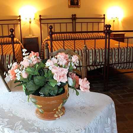 Fattoria Di Camporomano Массароза Номер фото