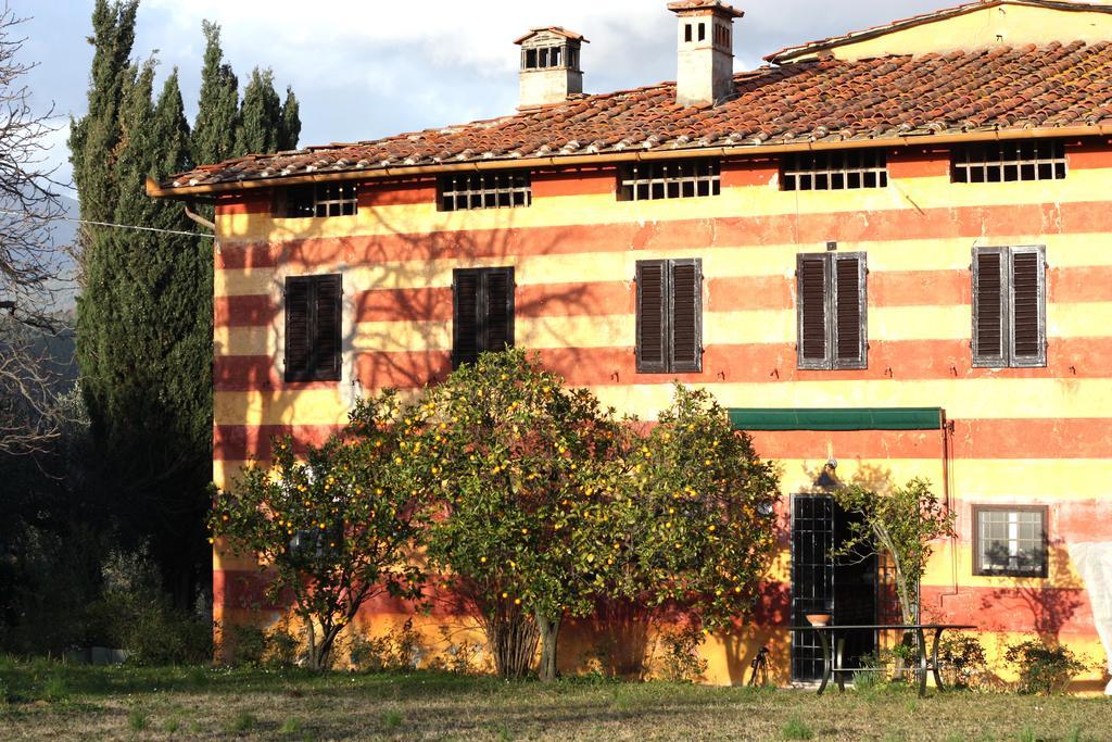 Fattoria Di Camporomano Массароза Экстерьер фото