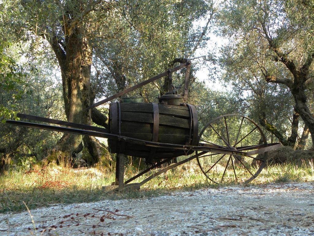 Fattoria Di Camporomano Массароза Экстерьер фото
