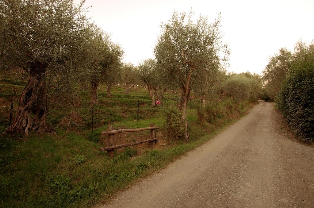 Fattoria Di Camporomano Массароза Экстерьер фото