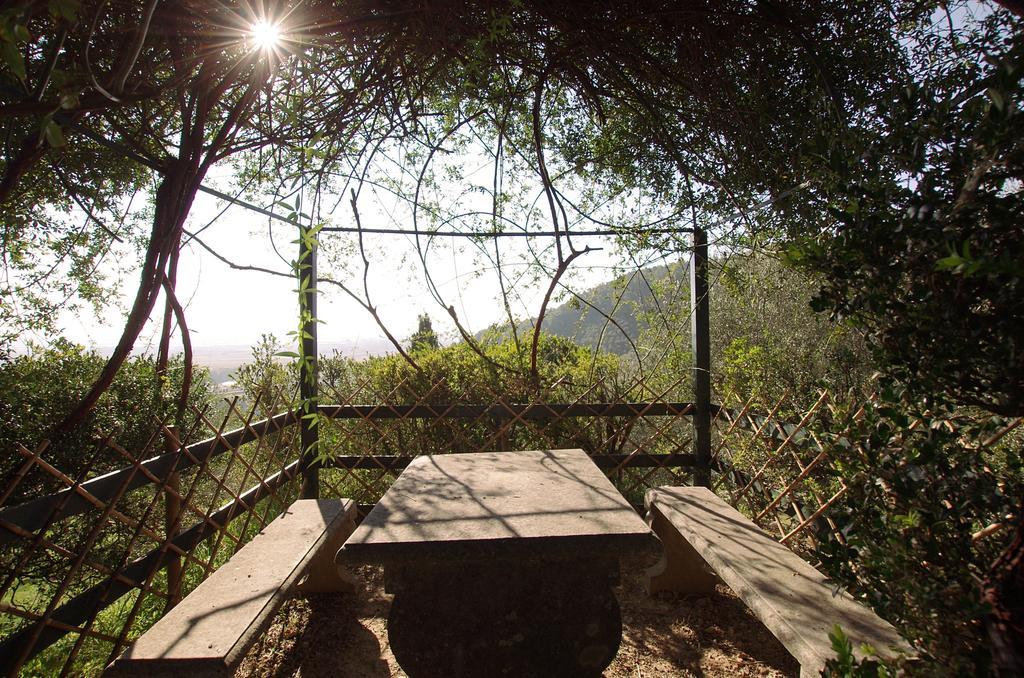 Fattoria Di Camporomano Массароза Экстерьер фото