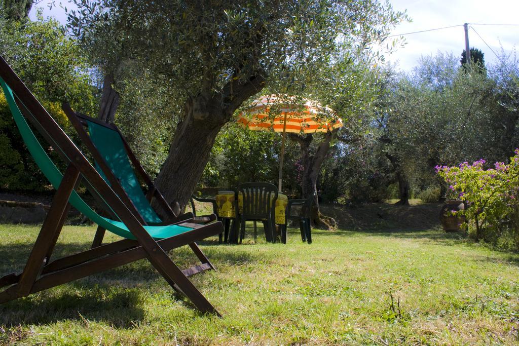 Fattoria Di Camporomano Массароза Номер фото
