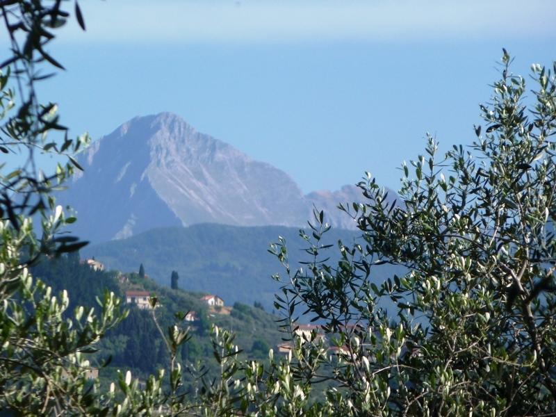 Fattoria Di Camporomano Массароза Экстерьер фото